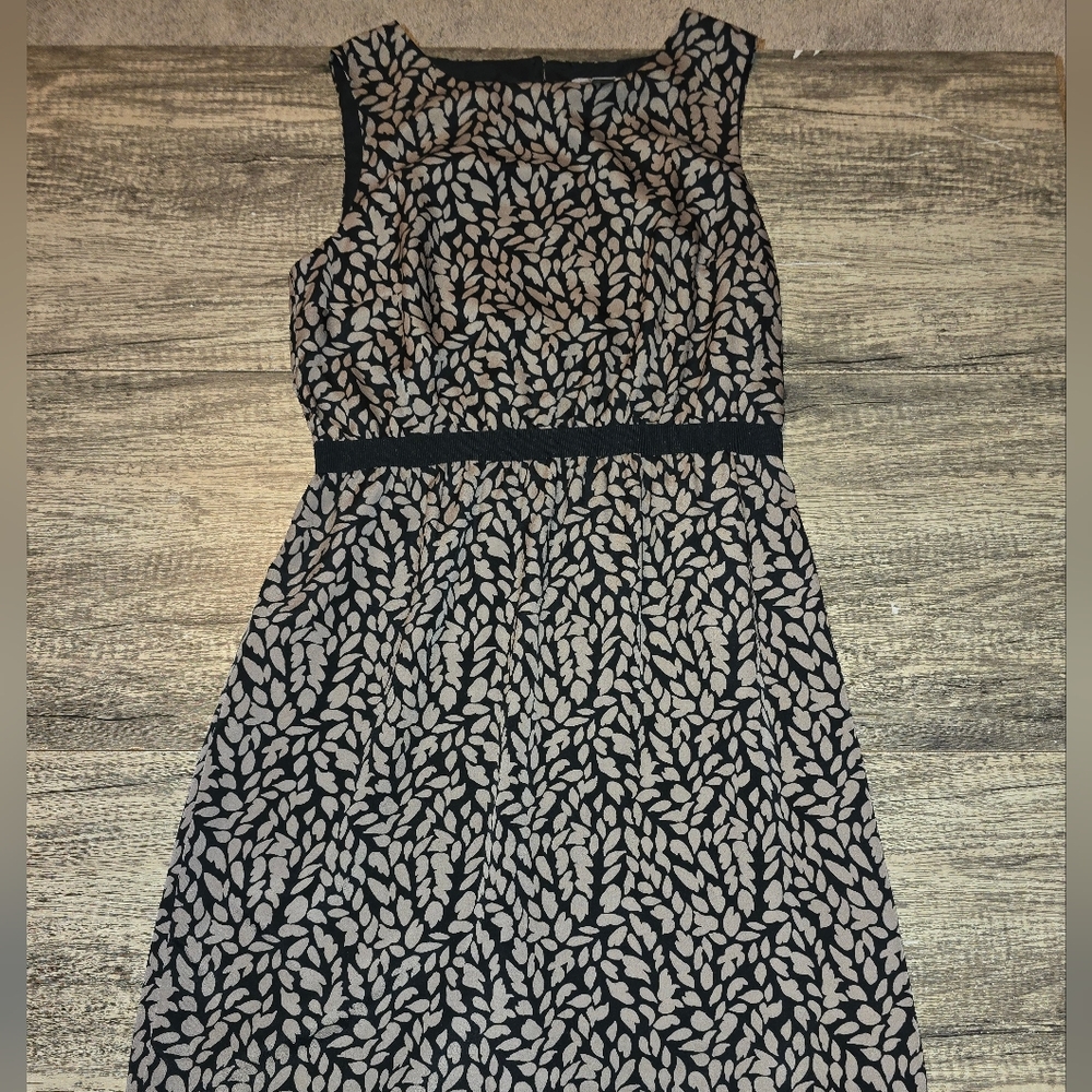 LOFT size small tan and black dress